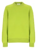 Laneus crew-neck knit - Green