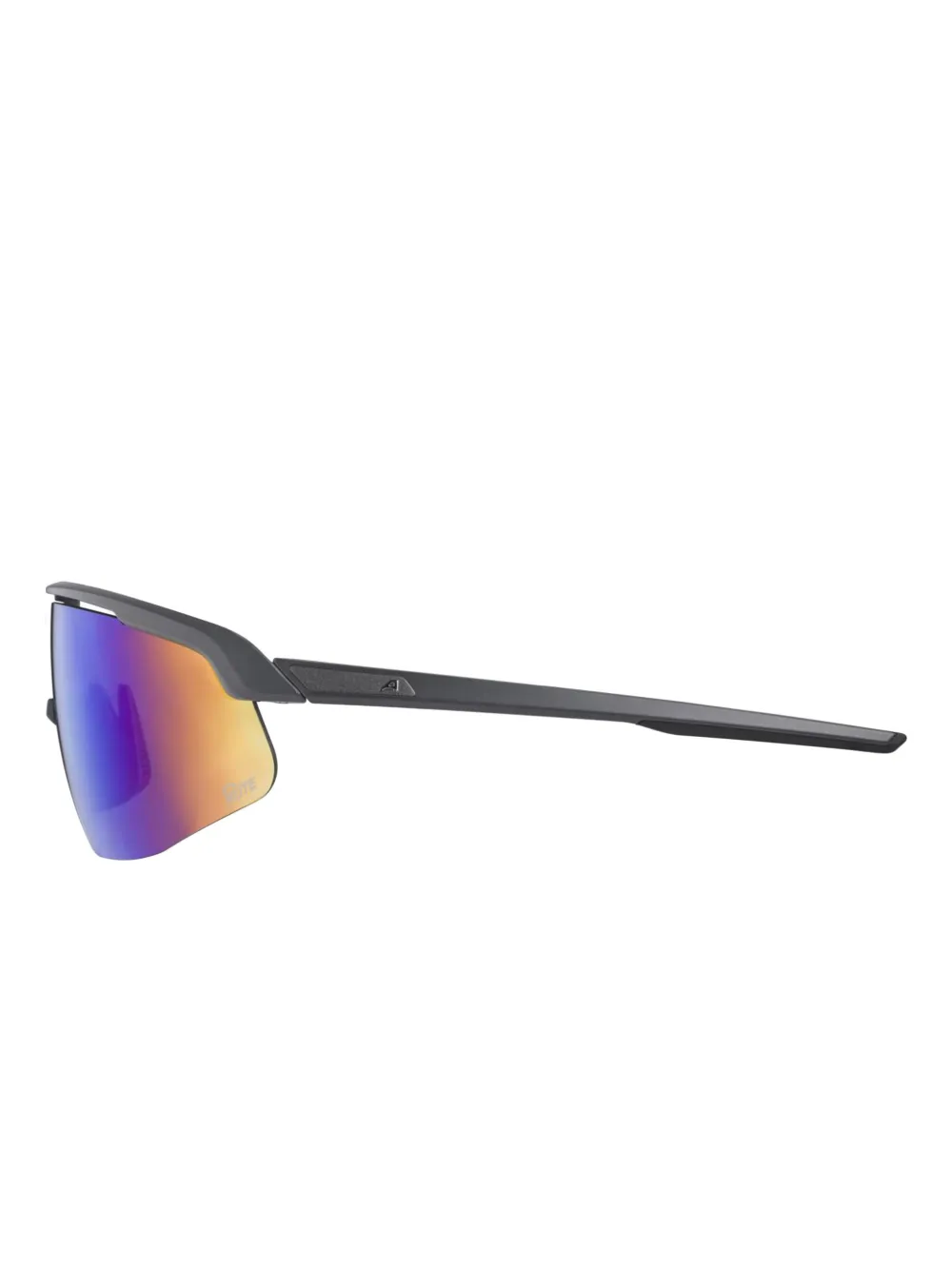  Alpina Turbo Pro Q-lite Glasses - Grey 
