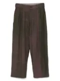 Ziggy Chen pleated trousers - Green