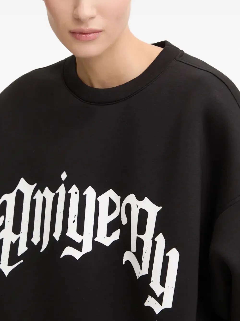 Aniye By Logo-print Sweatshirt In Black