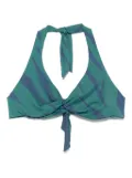 Fisico zebra-print bikini top - Blue