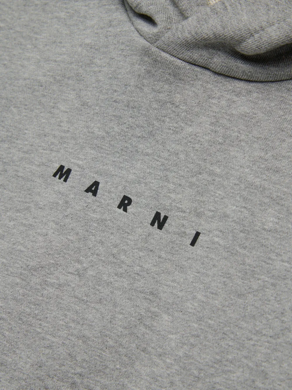 Marni Kids Katoenen hoodie Grijs