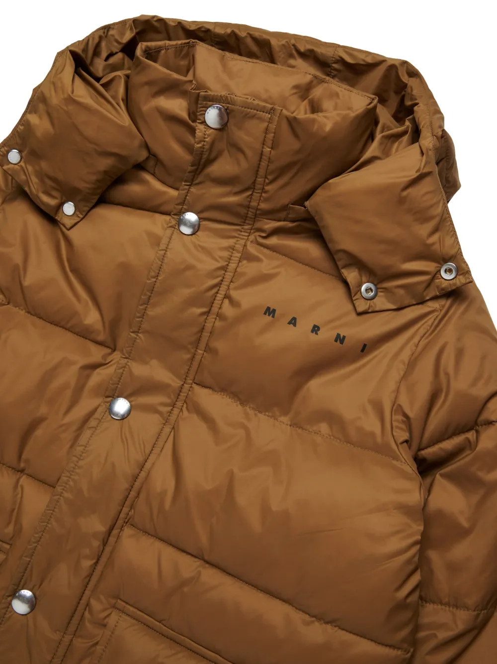 Marni Kids Gewatteerd jack met logoprint Bruin