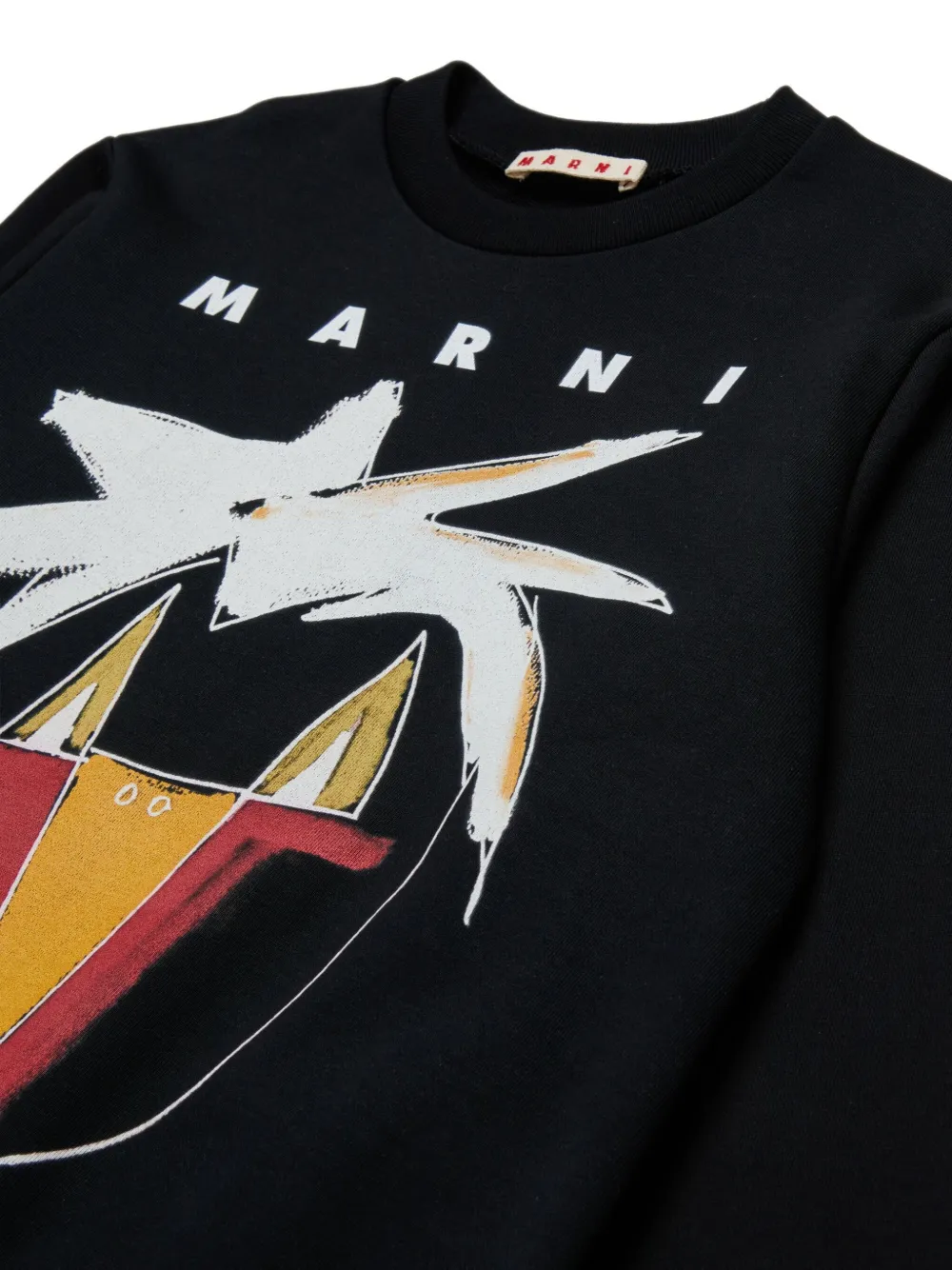 Marni Crewneck Sweatshirt With Front Print Kids