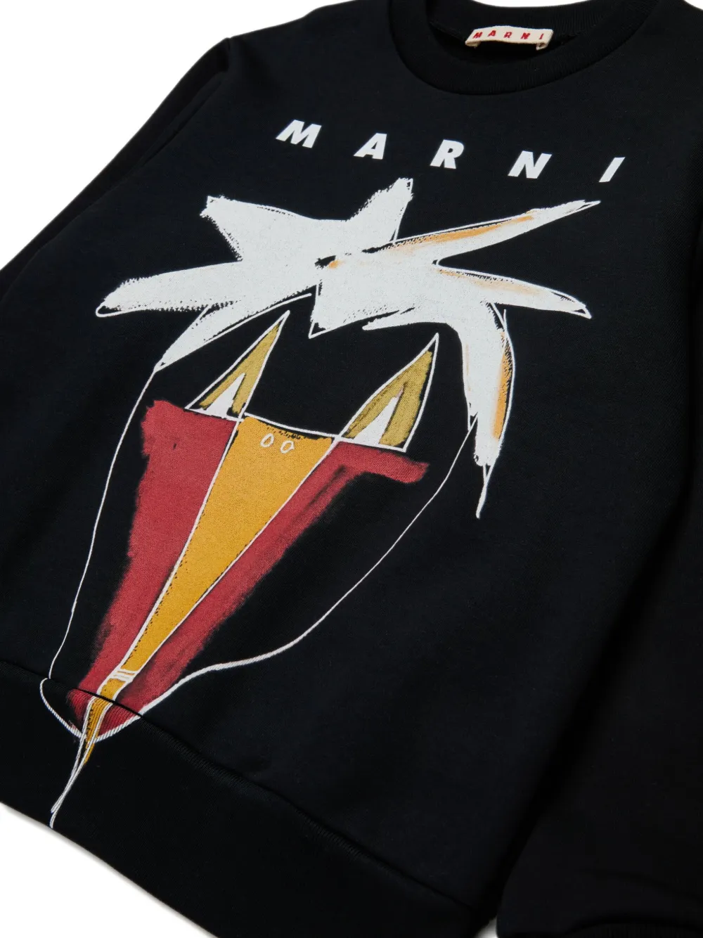 Marni Crewneck Sweatshirt With Front Print Kids