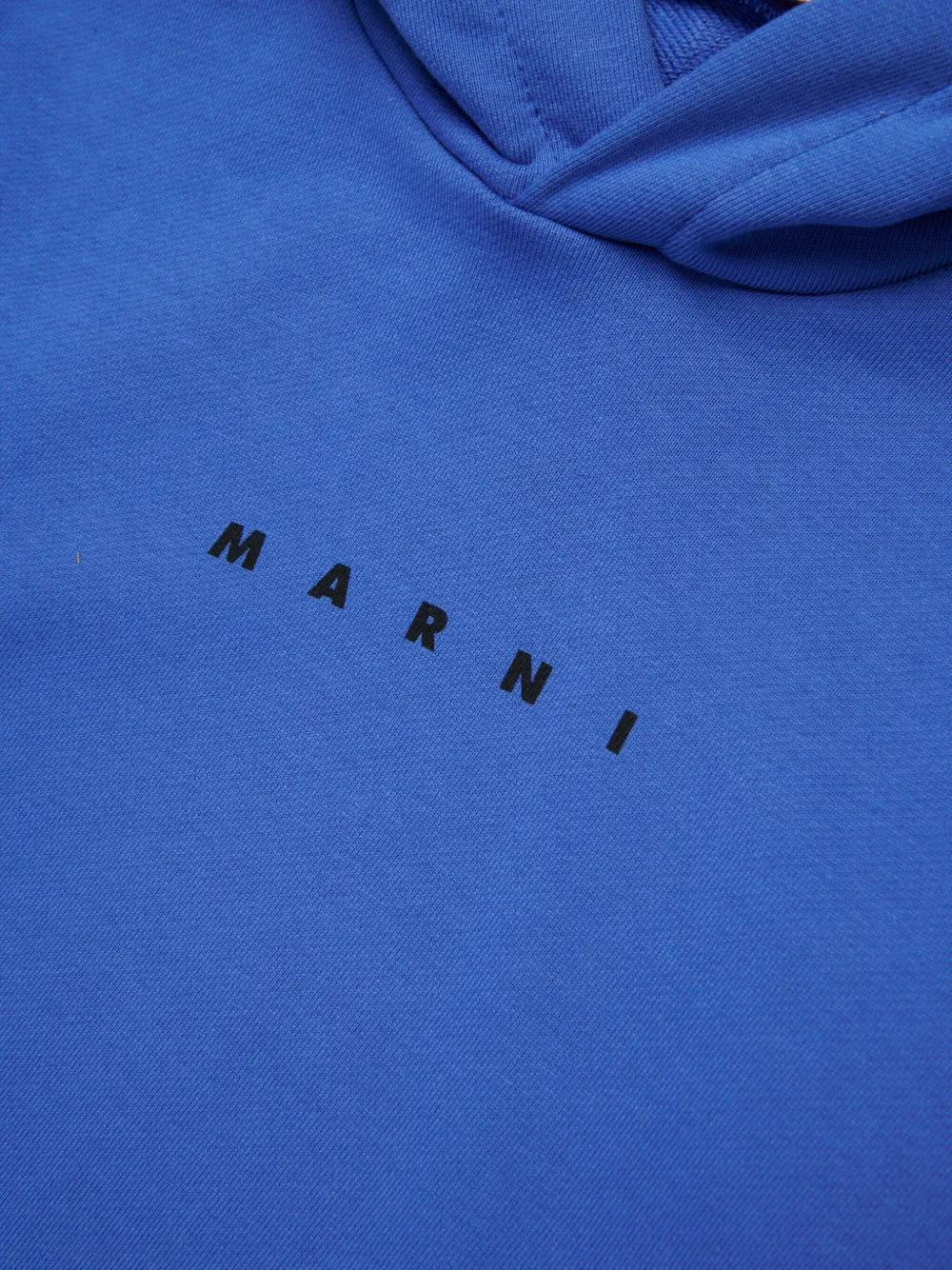 Marni Kids Katoenen hoodie Blauw