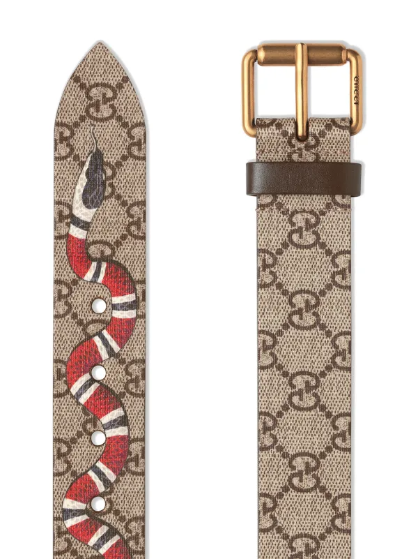 snake print gucci belt