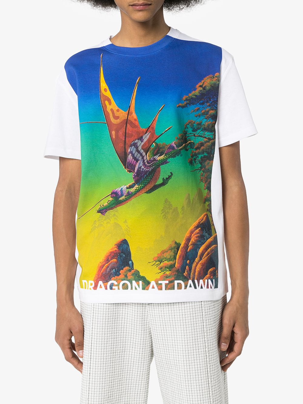 фото Valentino футболка с принтом dragon at dawn