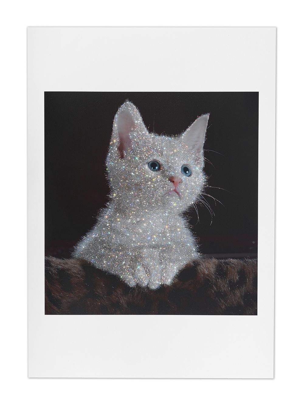 фото Browns x sara shakeel постер crystal kitten a2