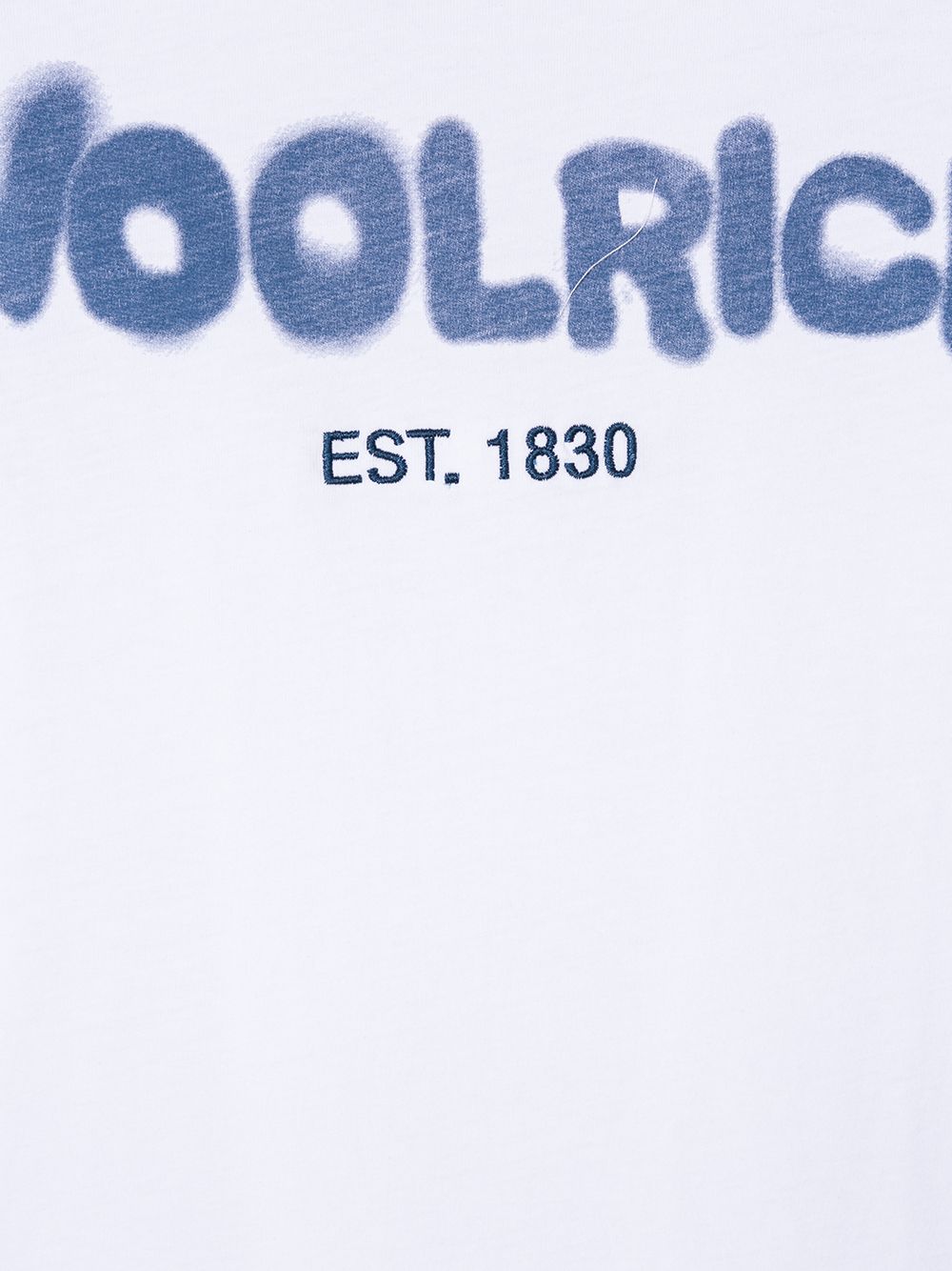 фото Woolrich kids футболка с логотипом