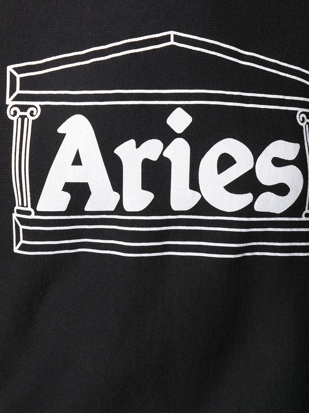 фото Aries худи с логотипом