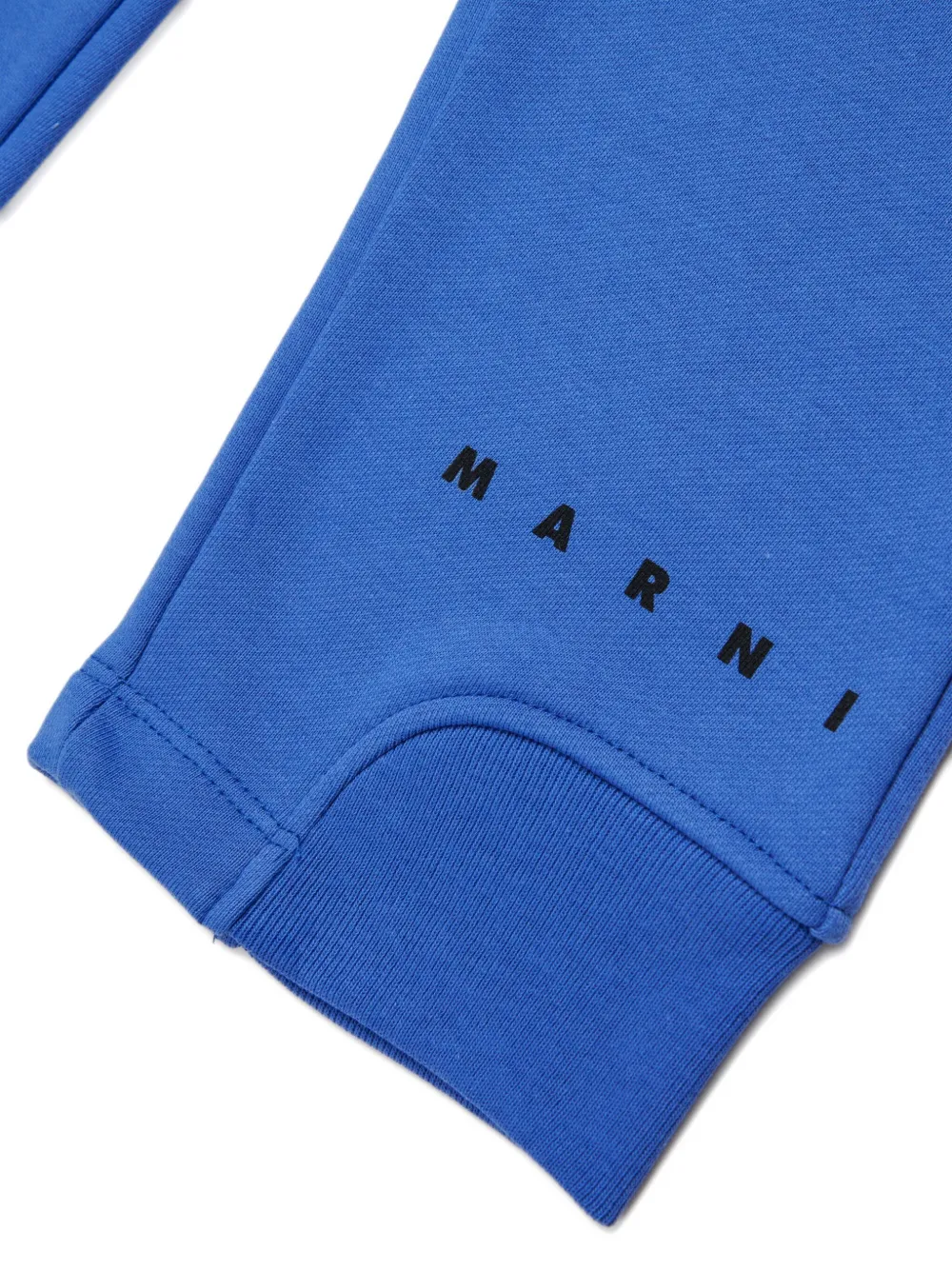 Marni Kids Broek met logoprint Blauw