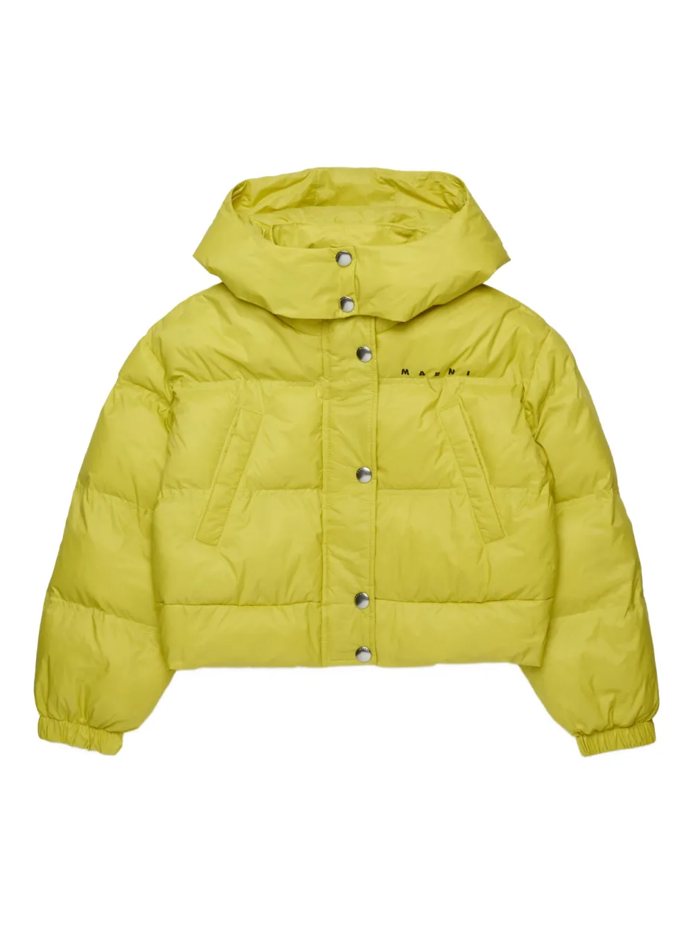 Marni Kids Gewatteerd jack met logoprint Groen