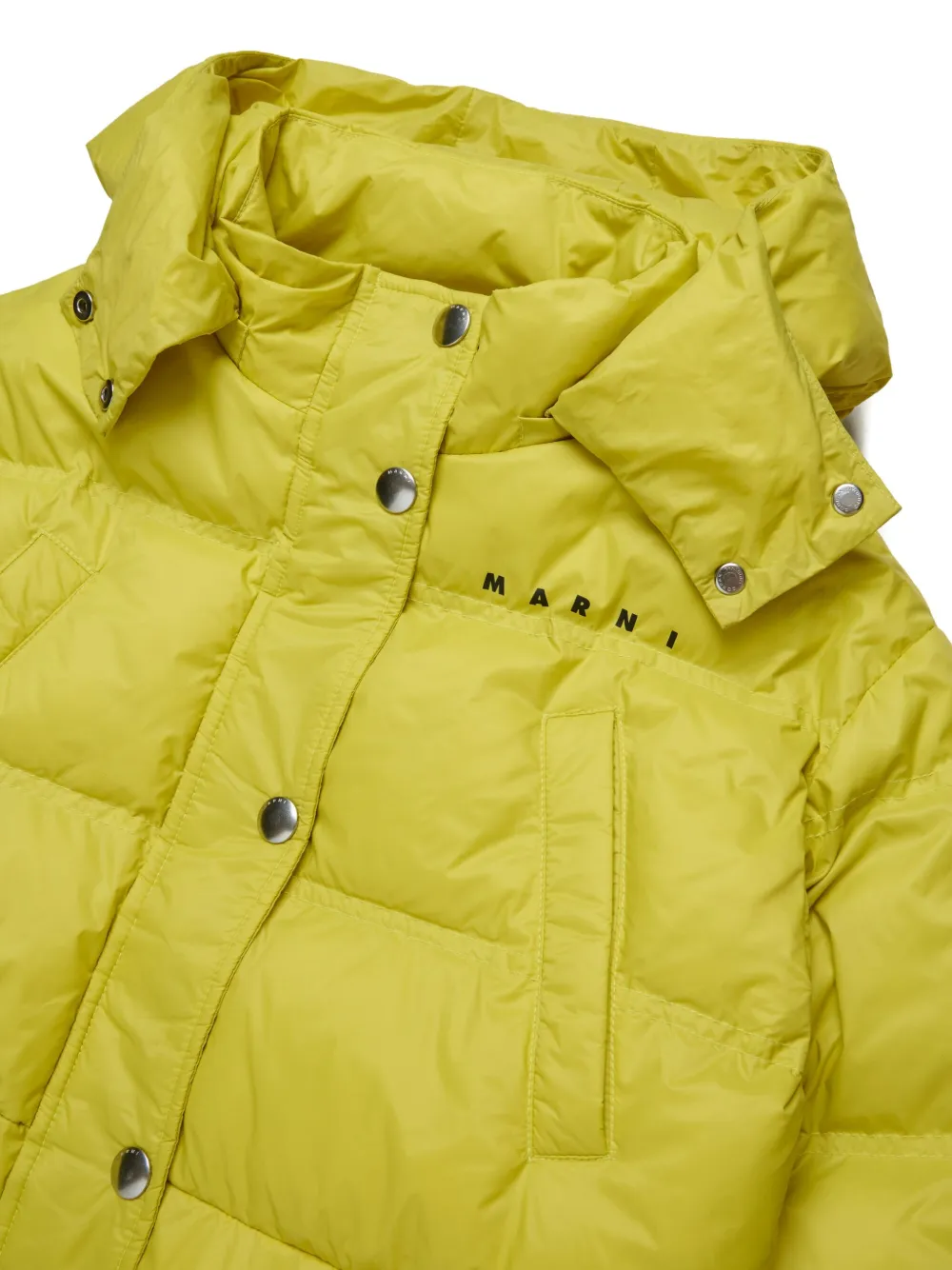 Marni Kids Gewatteerd jack met logoprint Groen