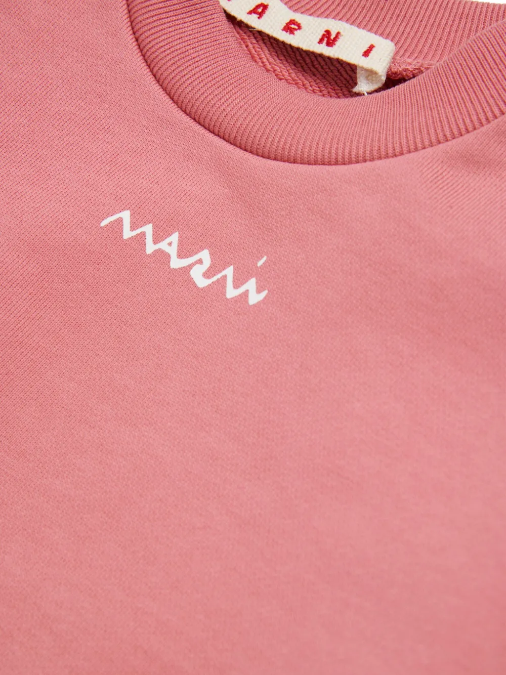 Marni Kids Sweater van katoen Roze