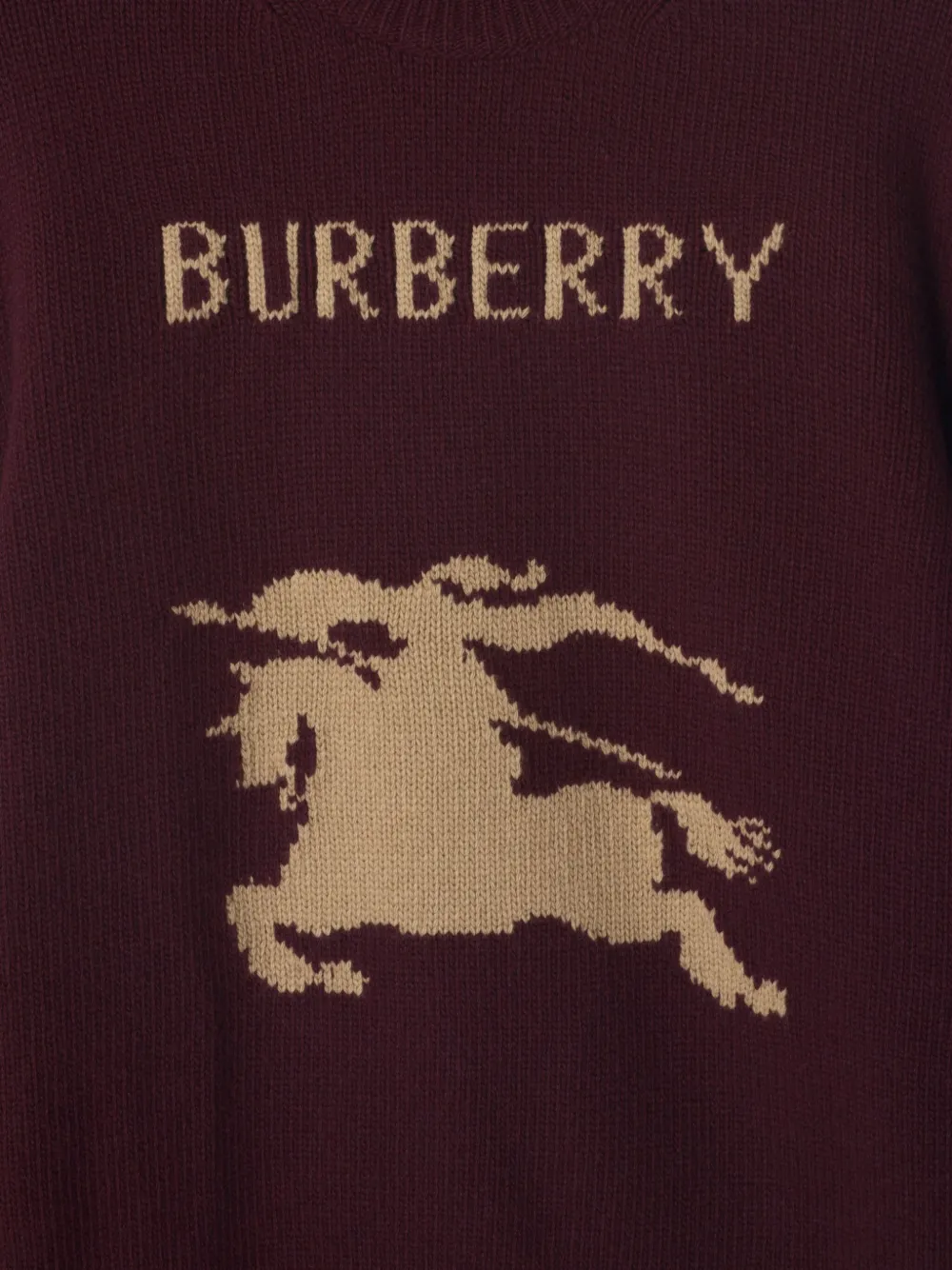 Burberry Trui met Equestrian Knight-patroon Bruin
