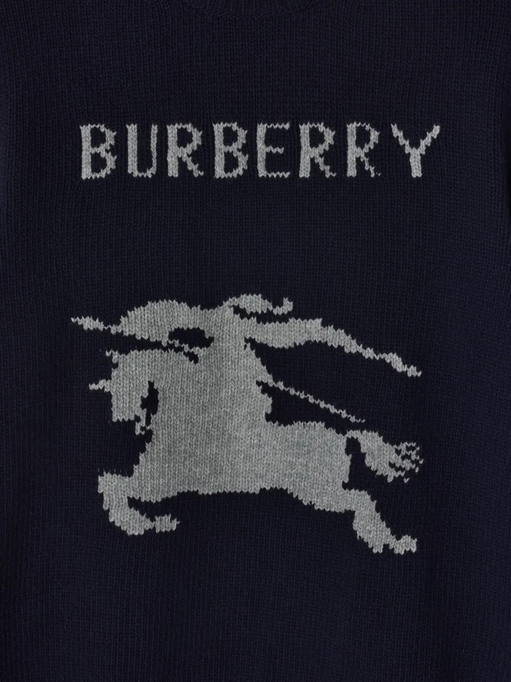 Burberry Trui met Equestrian Knight-patroon Blauw