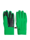 Fusalp Glacier M ski gloves - Green