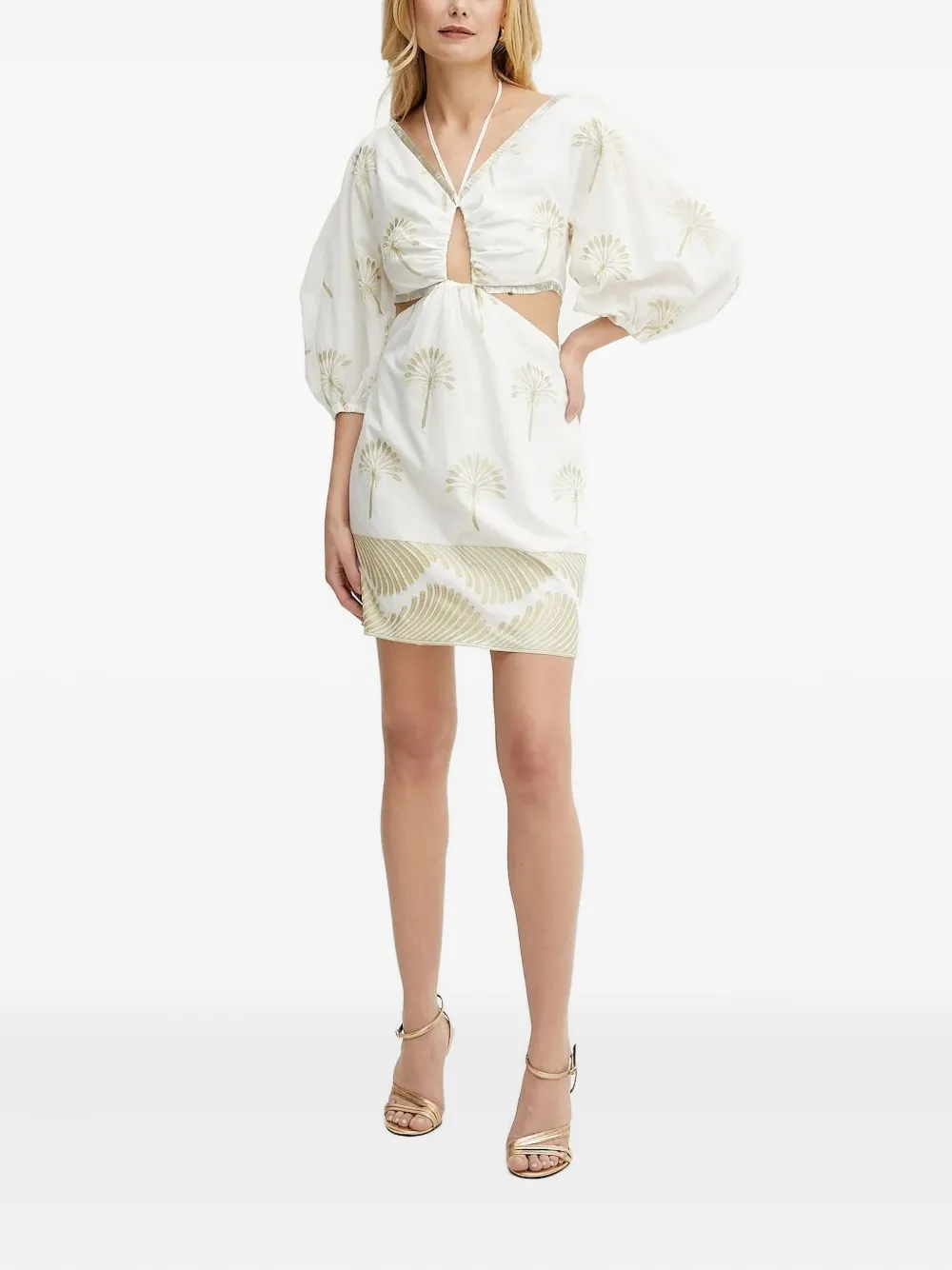 Simona Corsellini Embroidered-flowers Cut-out Mini Dress In White