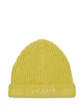 Marni Kids logo beanie hat - Green