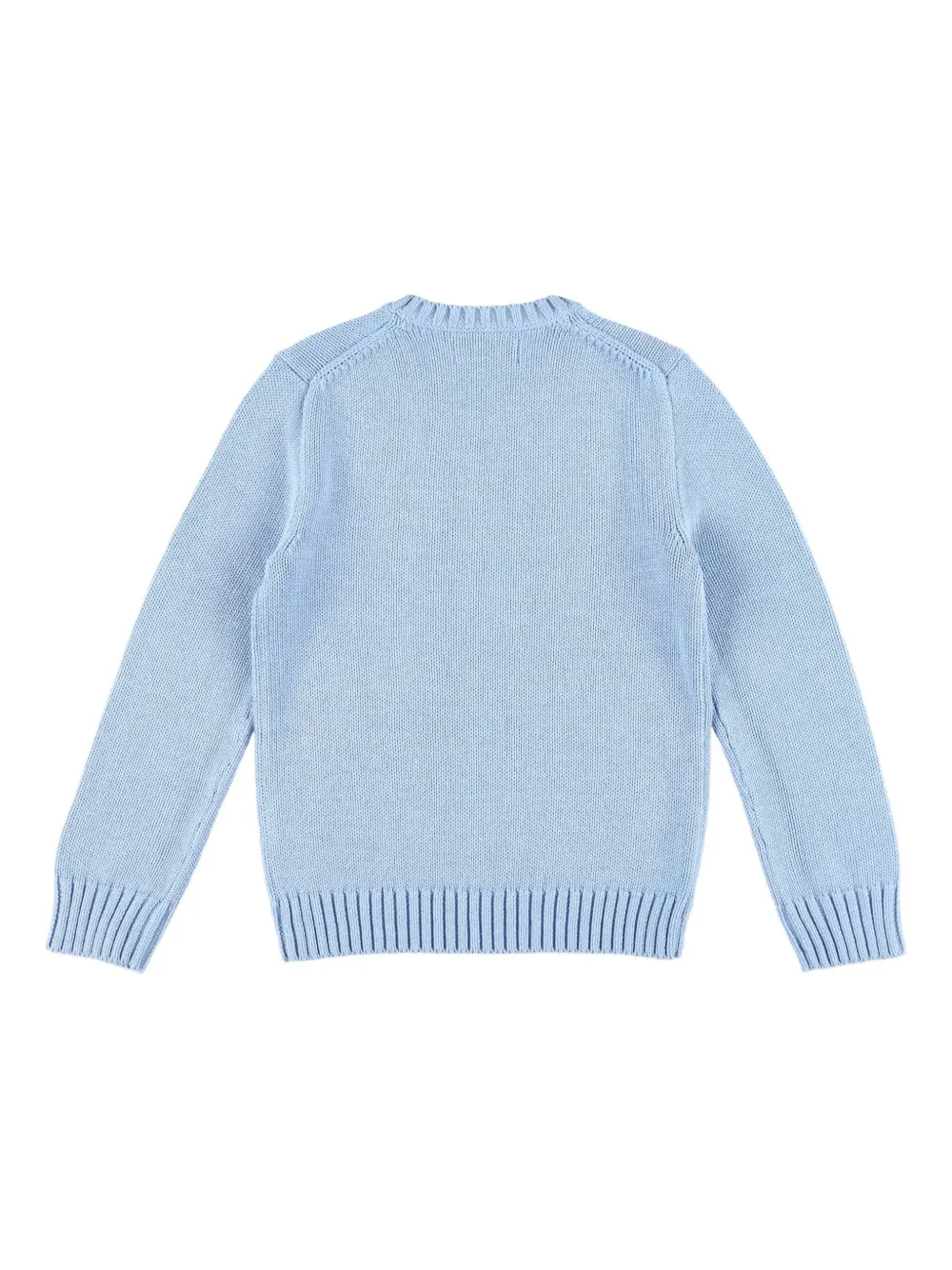 POLO RALPH LAUREN KIDS cotton jumper Blauw