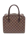 Louis Vuitton Pre-Owned 2005 Triana handbag - Brown