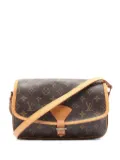 Louis Vuitton Pre-Owned 2009 Sologne cross body bag - Brown