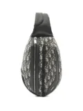 Christian Dior Pre-Owned 2010s Scarab body bag - Neutrals