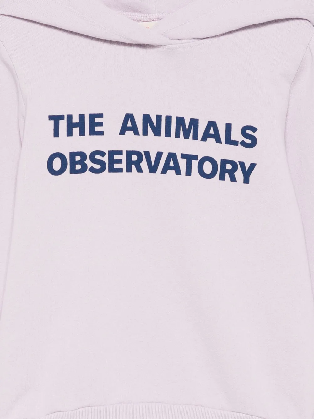 The Animals Observatory Taurus hoodie Paars