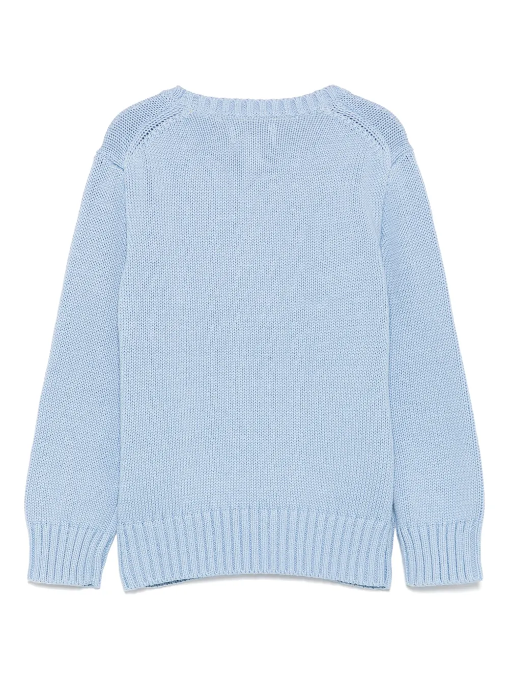 POLO RALPH LAUREN KIDS Katoenen trui Blauw