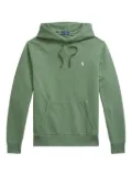 Polo Ralph Lauren drawstring hoodie - Green