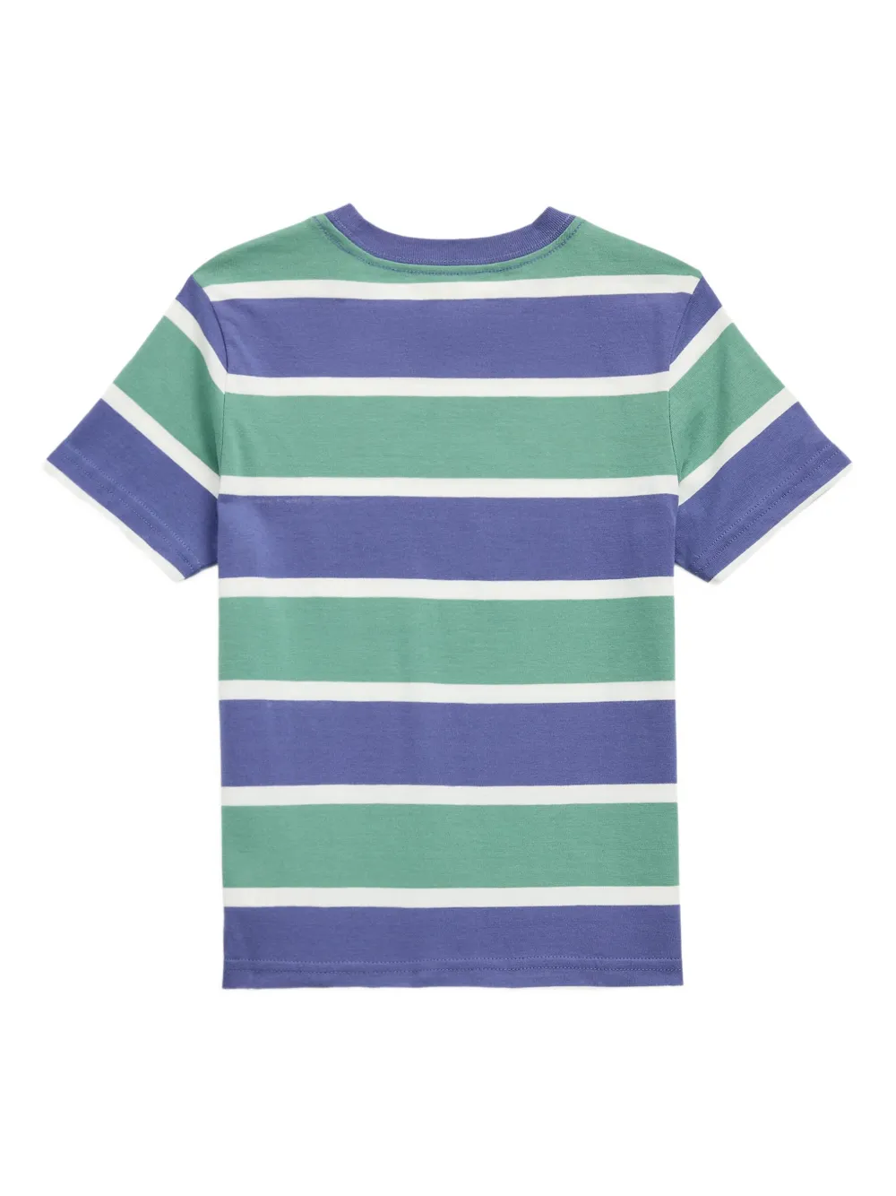 POLO RALPH LAUREN KIDS T-shirt met teddybeerprint Groen