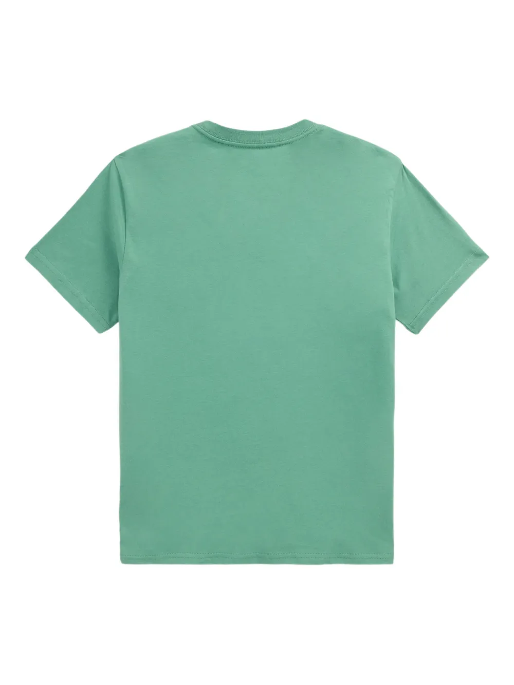 POLO RALPH LAUREN KIDS T-shirt met teddybeerprint Groen