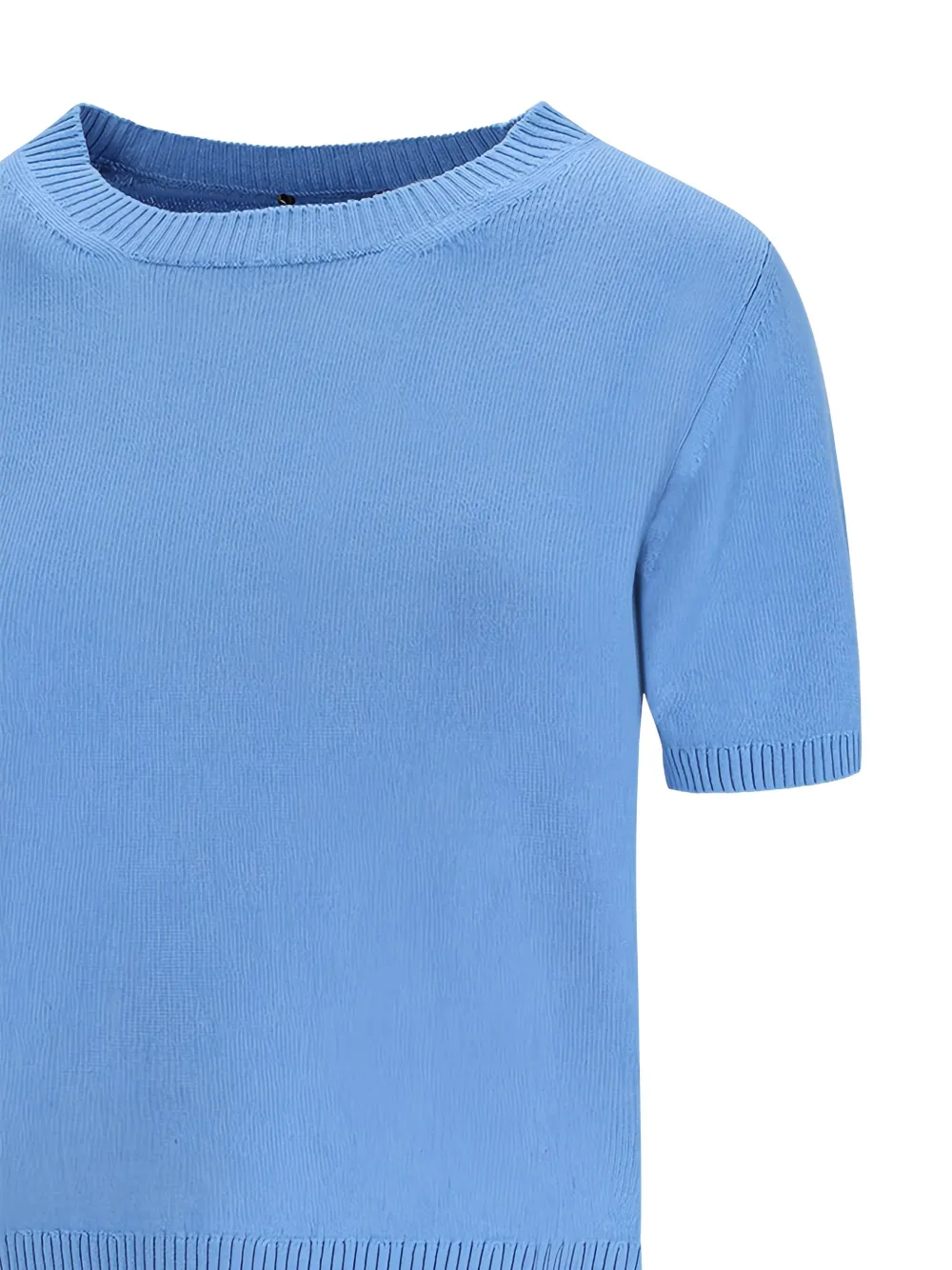Canessa Round Neck Short-sleeve Knitted Top In Blue