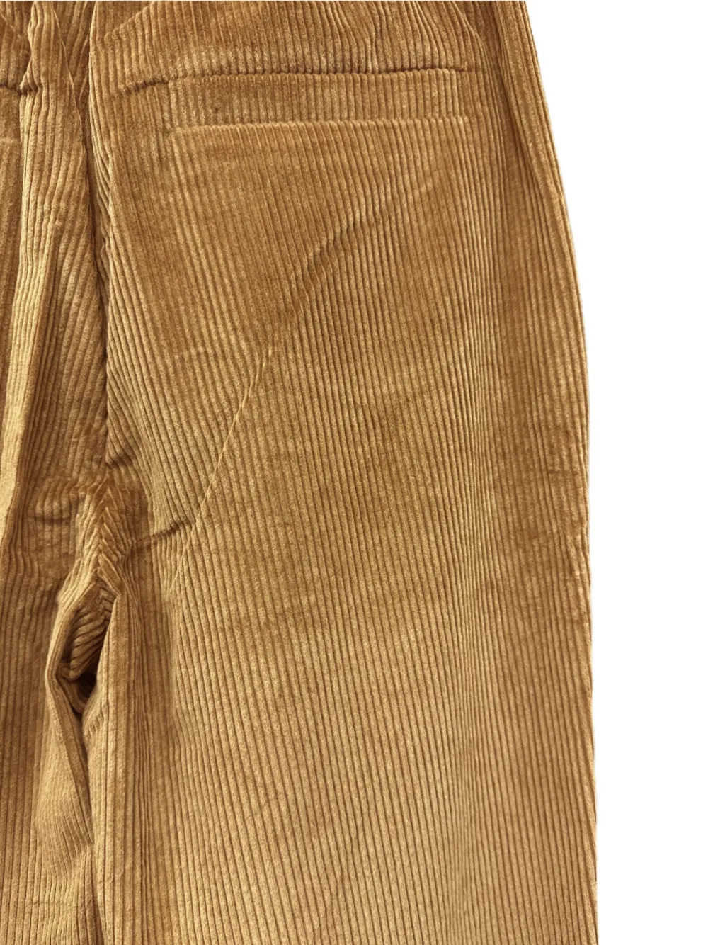 Brunello Cucinelli Ribfluwelen broek Bruin