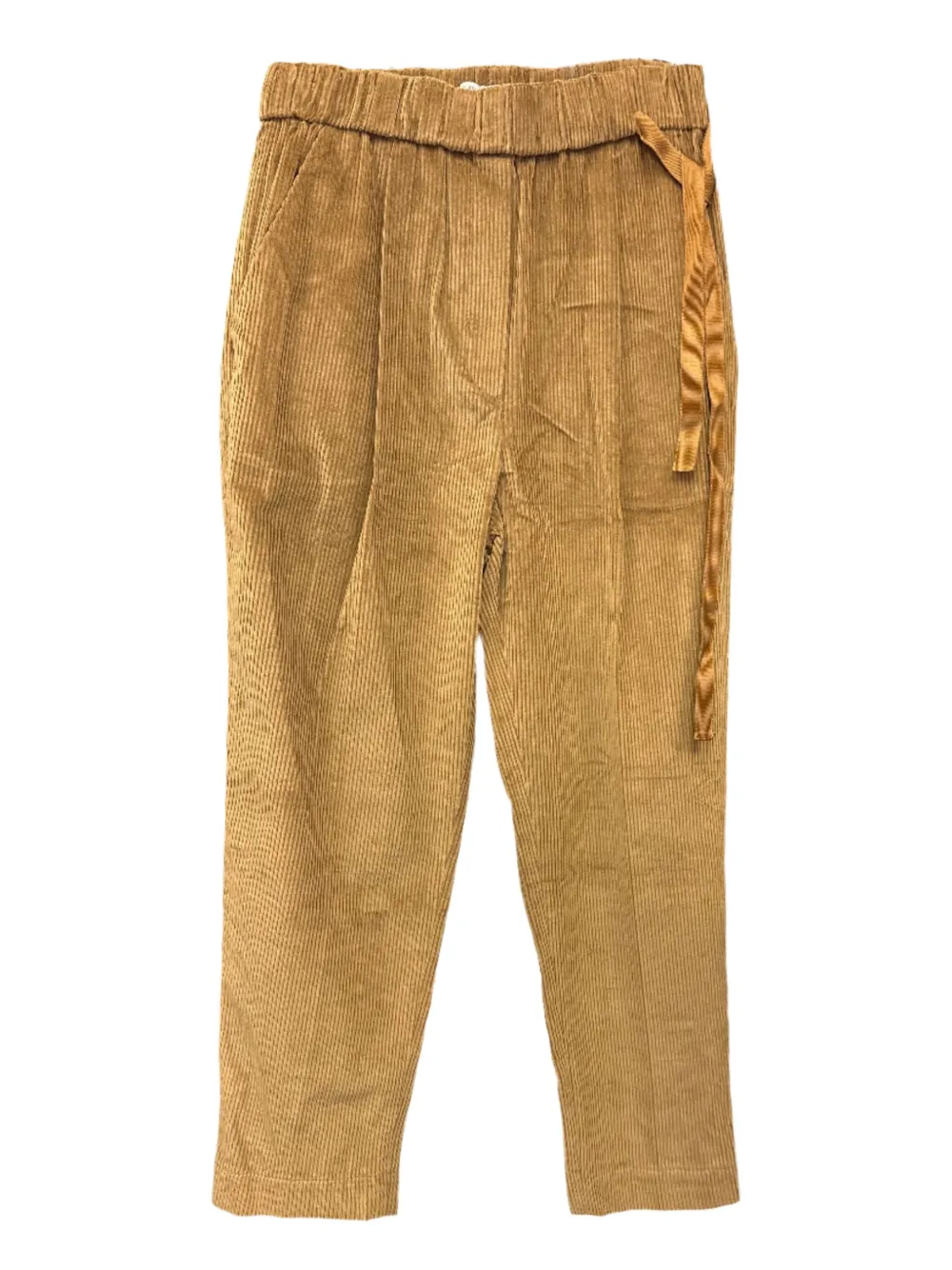 Brunello Cucinelli Ribfluwelen broek Bruin