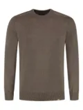 Paul & Shark crew-neck sweater - Brown