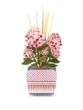 VESTA Aurora floral fragrance diffuser - Pink