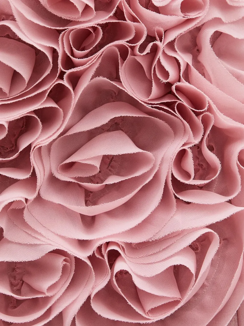 AMBUSH rose-appliqué ruffled skirt Roze