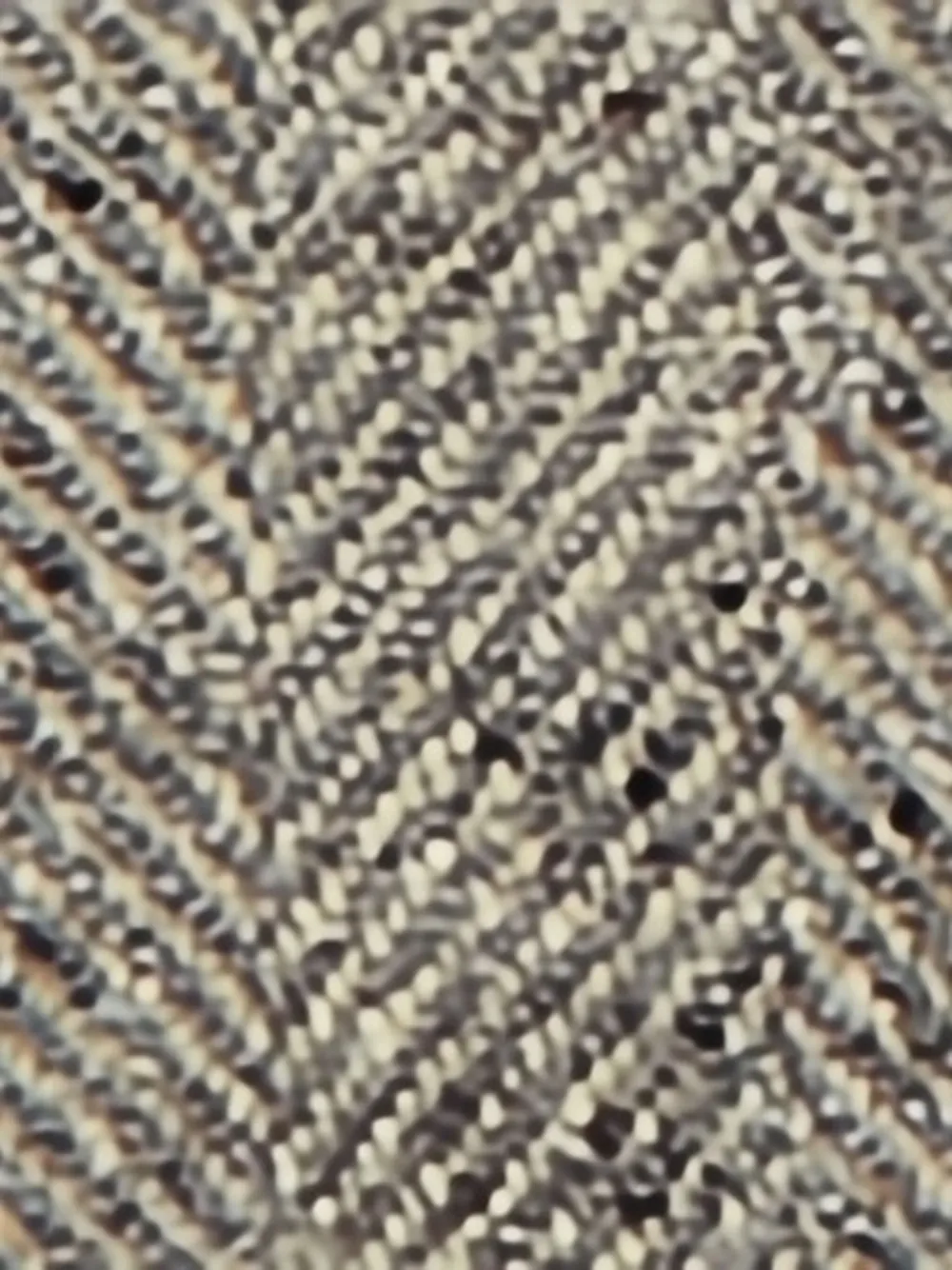 Stella McCartney Jas met dubbele rij knopen en tweed patroon Grijs
