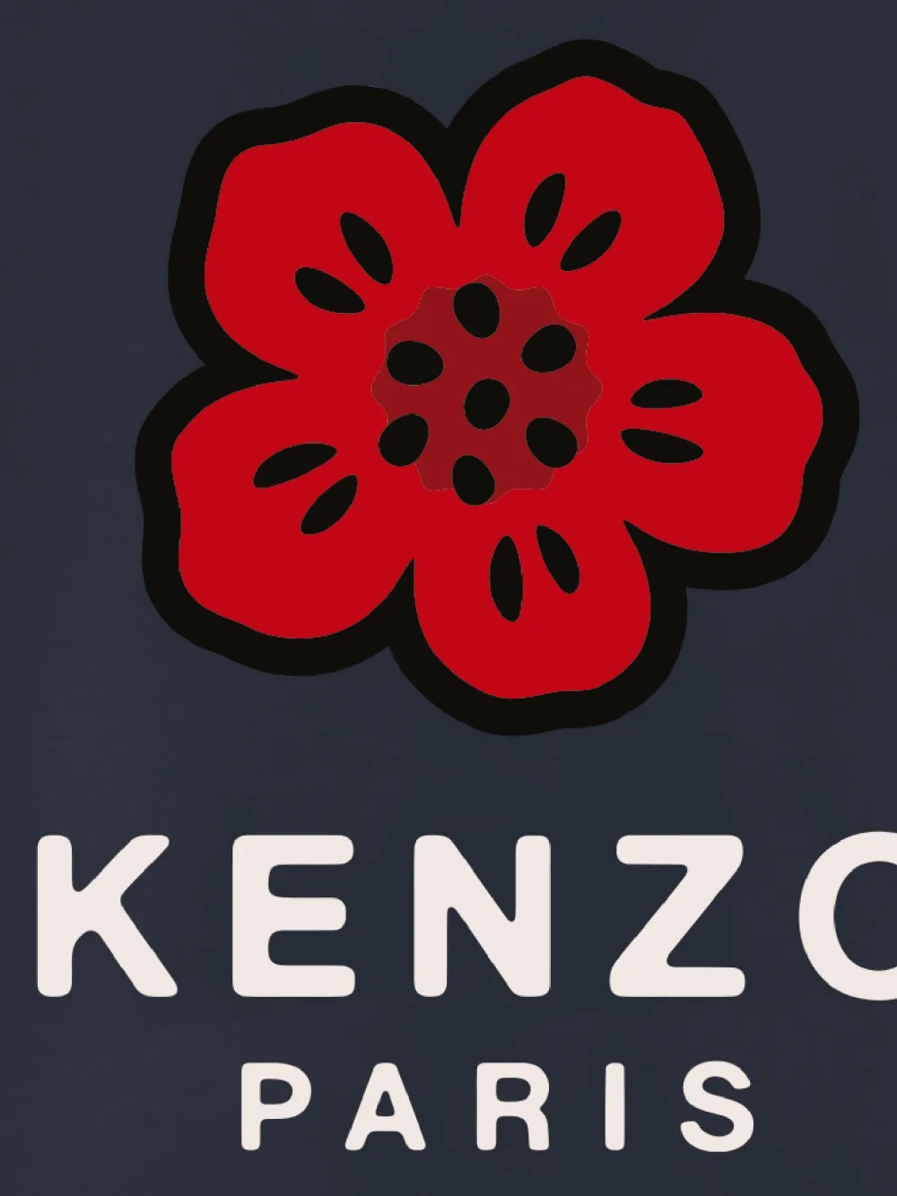 Kenzo Kids Boke Flower T-shirt met lange mouwen Blauw