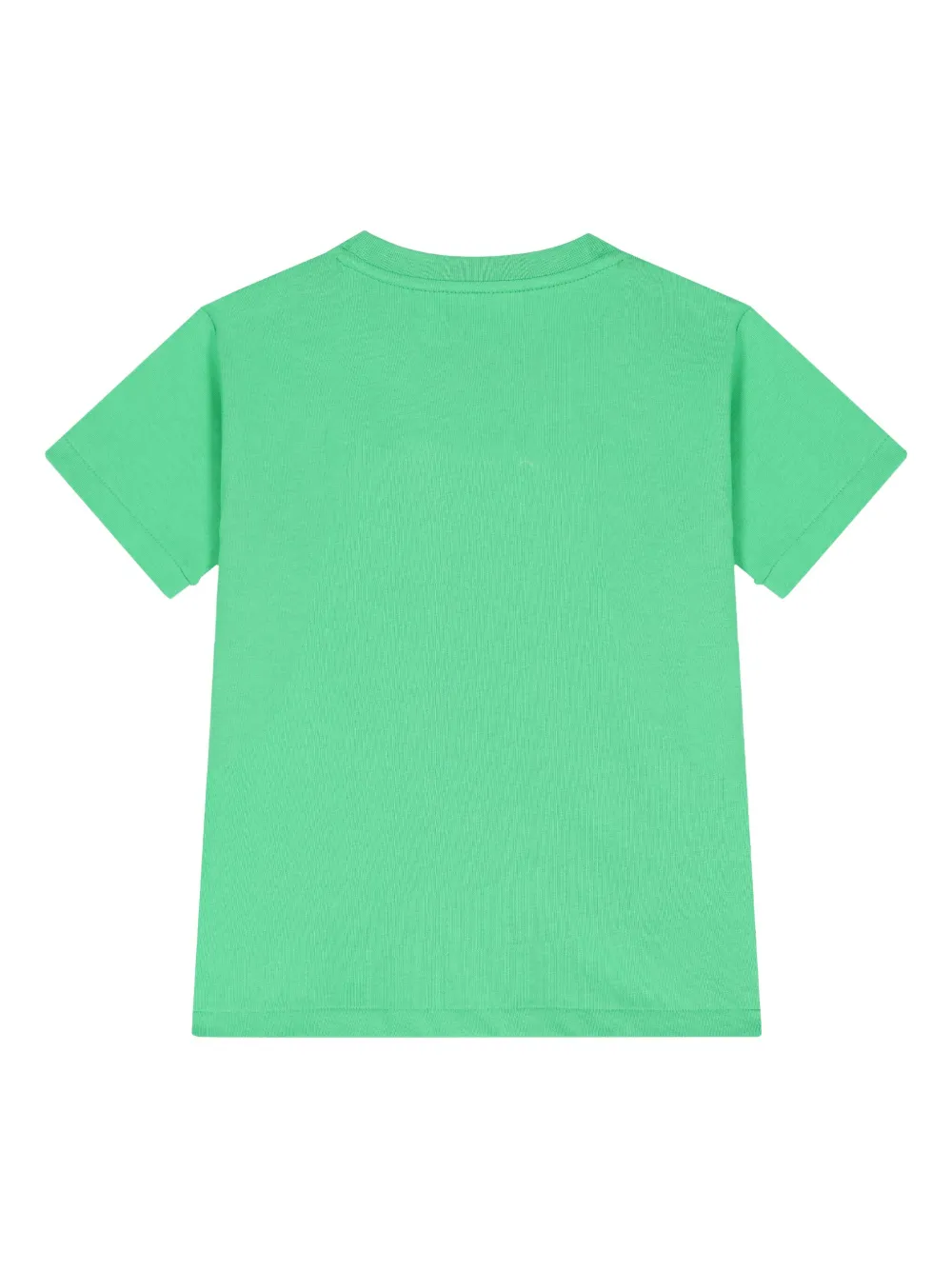 POLO RALPH LAUREN KIDS T-shirt met geborduurd logo Groen