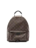 Louis Vuitton Pre-Owned 2021 Palm Springs backpack - Brown