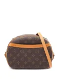 Louis Vuitton Pre-Owned 2002 Blower shoulder bag - Brown
