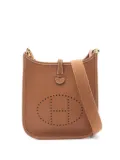 Hermès Pre-Owned 2025 Evelyn TPM shoulder bag - Brown