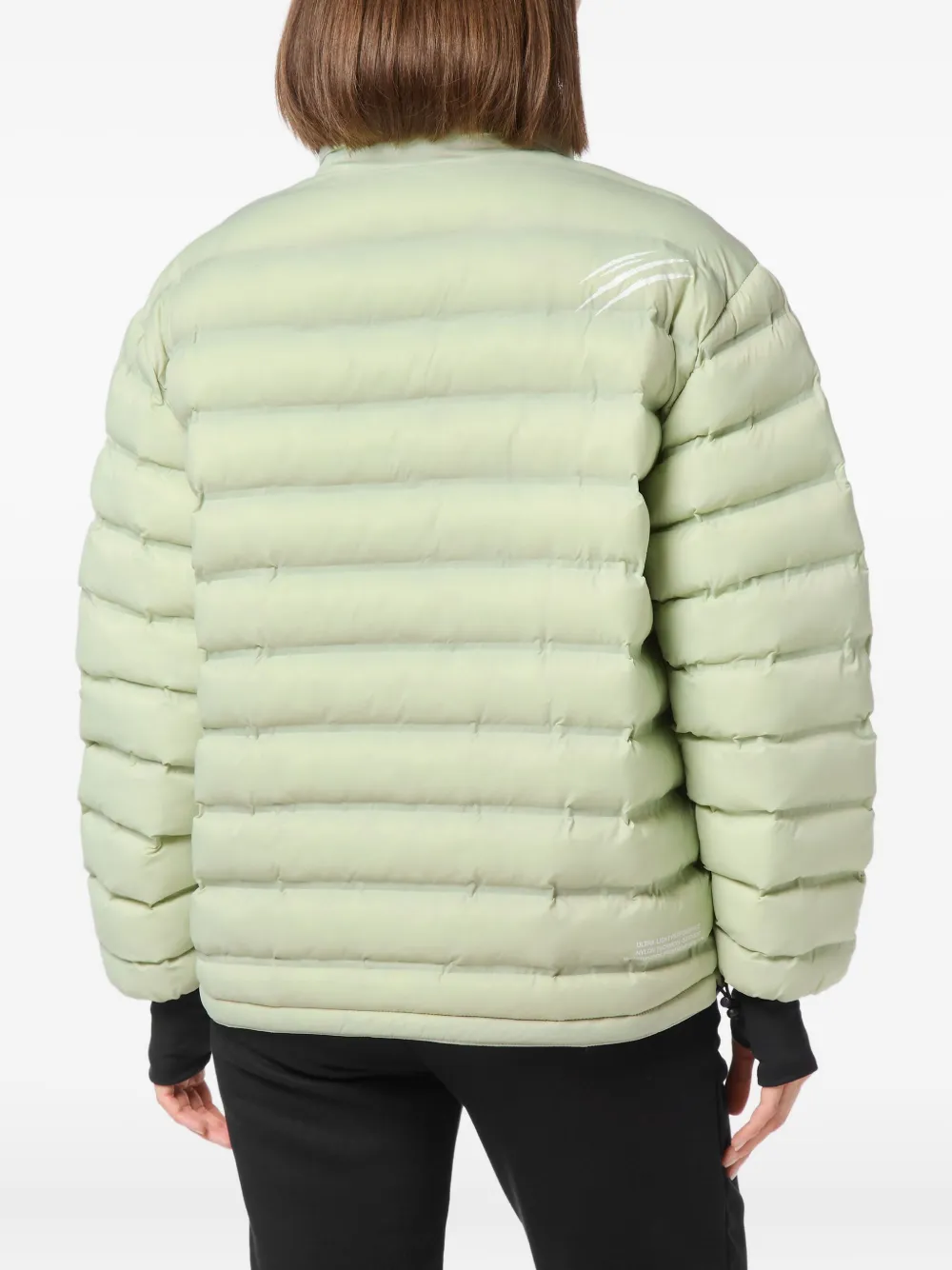 Plein Sport Padded Puffer Jacket In Green