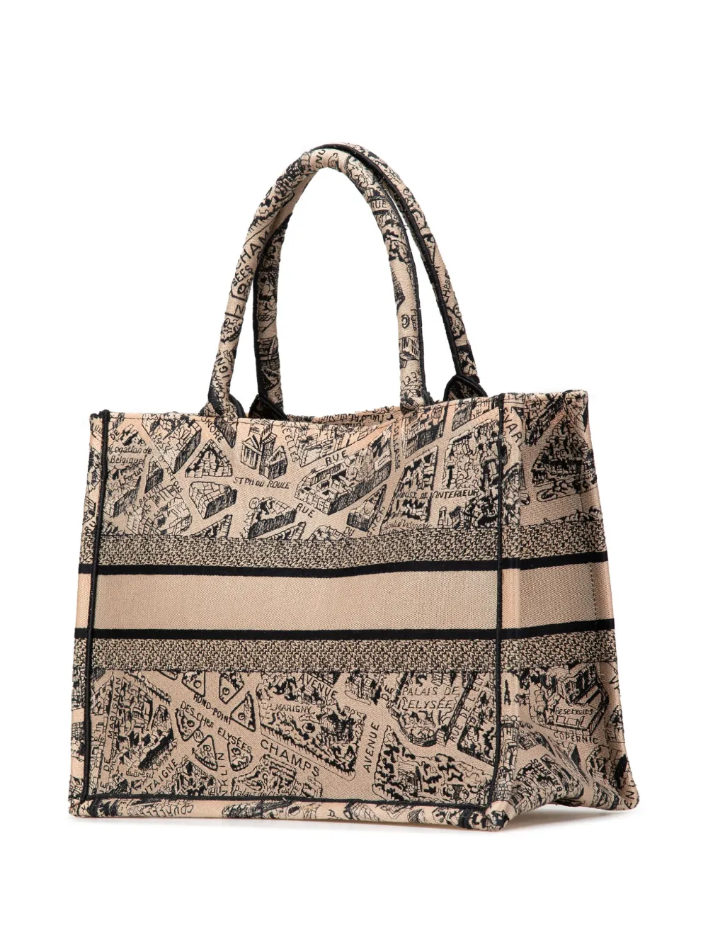 Pre-owned Dior 2023 Medium Embroidered Canvas Plan De Paris Book Tote Bag