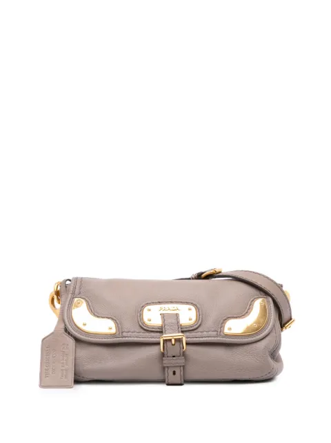 Prada Pre-Owned 2000-2024 Visone Sfumato Cervo Flap shoulder bag