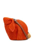 Loewe Pre-Owned 2016-2024 Mini Raffia Bunny crossbody bag - Orange