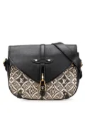 Louis Vuitton Pre-Owned 2020 Since 1854 Neo Saumur MM crossbody bag - Black